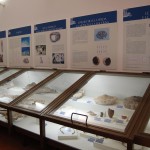 Sala del relitto di Mal di Ventre - Museo Civico di Cabras.