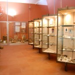 Sala di Tharros - Museo Civico di Cabras.